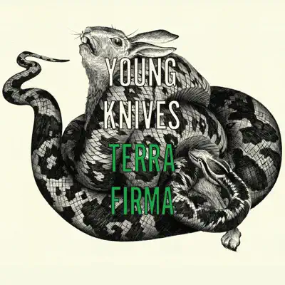 Terra Firma - Single - Young Knives