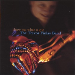 The Trevor Finlay Band - Mr. Bad Timing