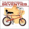 The Sensational Seventies: 16 Fantastic Memories, 2008