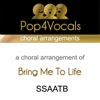Bring Me To Life (Choral Arrangements) [In The Style Of Evanescence]