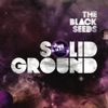The Black Seeds - Take Your Chances