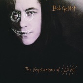 The great song of indifference / Bob Geldof
