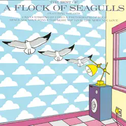 The Best of a Flock of Seagulls - A Flock Of Seagulls