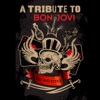 Bon Jovi Tribute Band - Lay Your Hands On Me