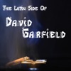 The Latin Side of David Garfield, 2011