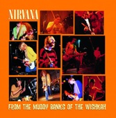 NIRVANA - BEEN A SON (R)