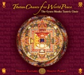 The Gyuto Monks Tantric Choir - Mandala Offering