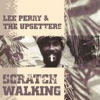 Scratch Walking, 2006