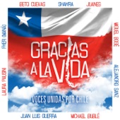 Gracias a la Vída (feat. Beto Cuevas, Juanes, Alejandro Sanz, Juan Luis Guerra, Laura Pausini, Fher de Maná, Shakira, Michael Bublé & Miguel Bosé) artwork