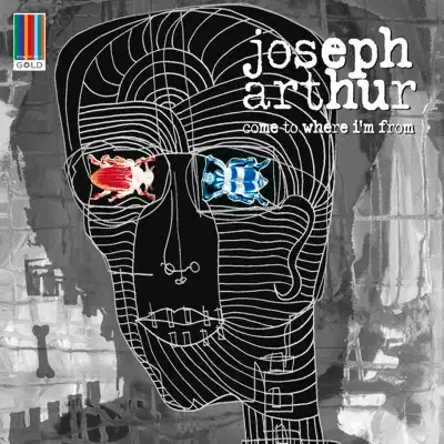 Come To Where I'm From - Joseph Arthur
