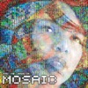 The Mosaic Project