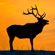 Bull Elk Bugle - Wildtones