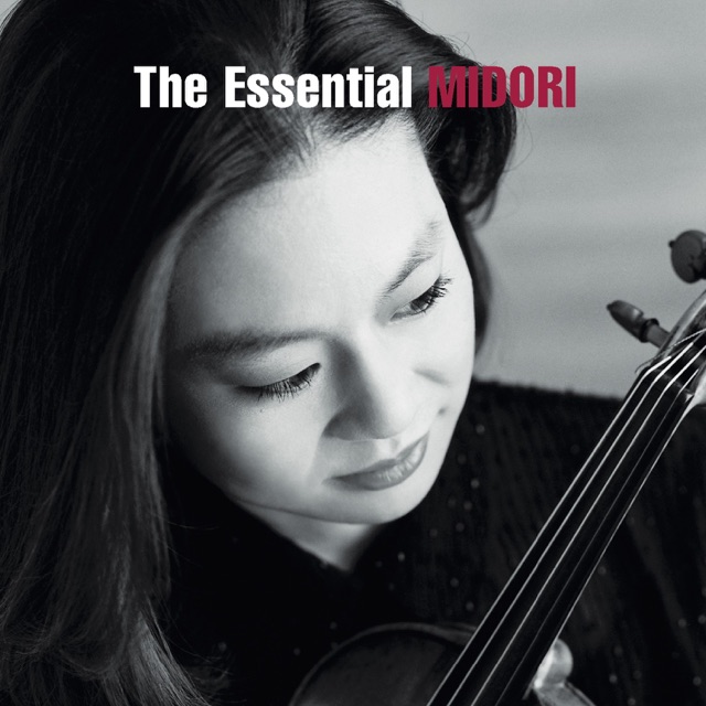 Concerto in D Major for Violin and Orchestra, Op. 35: I. Allegro moderato