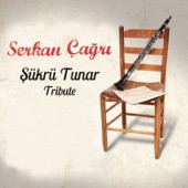 Tribute to Şükrü Tunar artwork