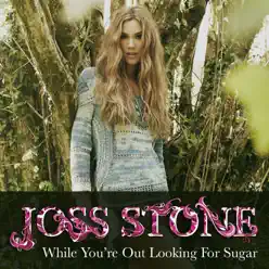 While You're Out Looking for Sugar - Single - Joss Stone