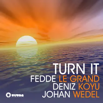 Turn It by Fedde Le Grand, Deniz Koyu & Johan Wedel song reviws