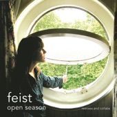 Feist - One Evening