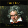 Download Beethoven Orchestra London - Für Elise Beethoven Orchestra London - Für Elise