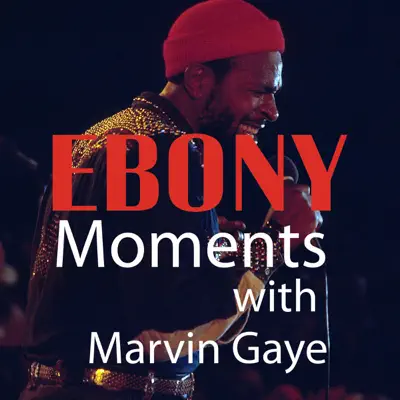 Ebony Moments with Marvin Gaye - Marvin Gaye