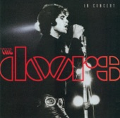 The Doors - In Concert artwork