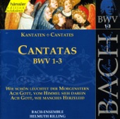 Bach, J.S.: Cantatas, Bwv 1-3 artwork