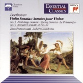 Sonata No. 5 In F Major for Violin and Piano, Op. 24 ("Spring"): I. Allegro artwork