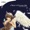 Eminence Symphony Orchestra - World Of The Dead (Princess Mononoke)