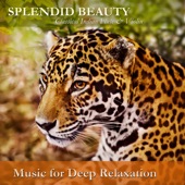 Music for Deep Relaxation - Inspiration: Yamunakalyani Flute Solo (feat. V.K. Raman)