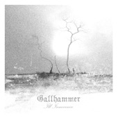 Gallhammer - Slog