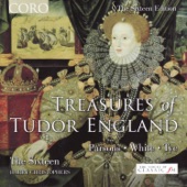 Treasures of Tudor England artwork