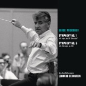 Symphony No. 1 in D Major, Op. 25, "Classical": II.  Larghetto artwork