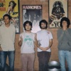 Boogarins