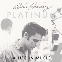 PLATINUM - A LIFE IN MUSIC cover art