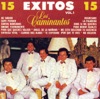 15 Exitos, Vol. I, 1983