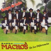 Banda Machos - Y la Quiere Paco