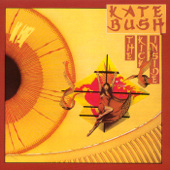 The Man with the Child In His Eyes - Kate Bush
