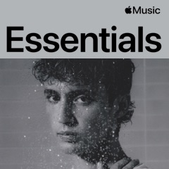 Troye Sivan Essentials
