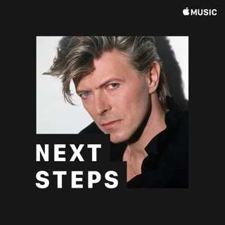 David Bowie On Apple Music Kristen wiig on her own singing in the secret life of walter mitty. itunes apple