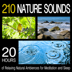 210 Nature Sounds: 20 Hours of Relaxing Natural Ambiences for Meditation and Sleep - Pro Sound Effects Library Cover Art