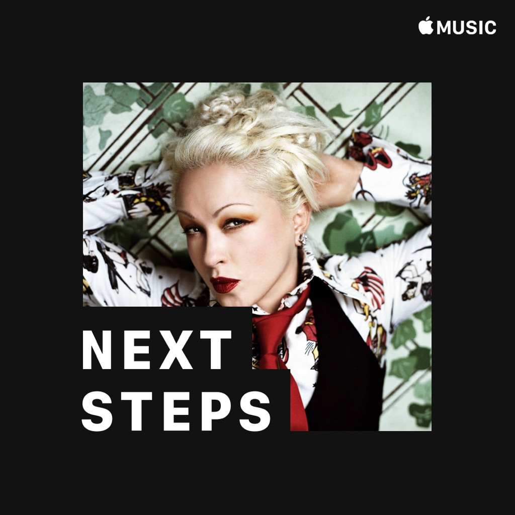 Cyndi Lauper: Next Steps