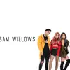 The Sam Willows