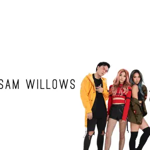 The Sam Willows