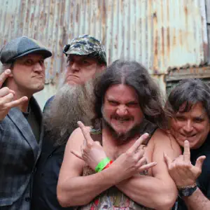 Hayseed Dixie