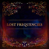 Tomorrowland 31.12.2020: Lost Frequencies (DJ Mix) artwork