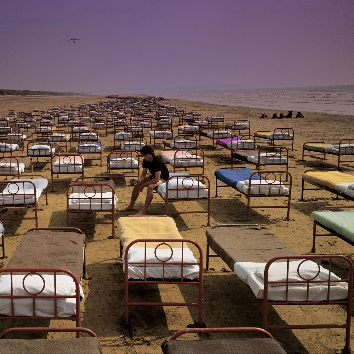 A Momentary Lapse of Reason di Pink Floyd su Apple Music