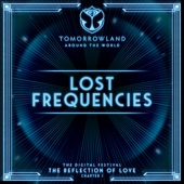 Lost Frequencies at Tomorrowland's Digital Festival, July 2020 (DJ Mix) artwork