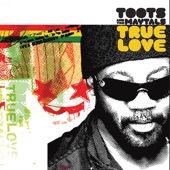 Toots & The Maytals - Careless Ethiopians