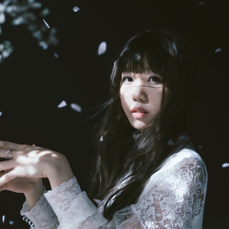 Aimer Lyrics Playlists Videos Shazam