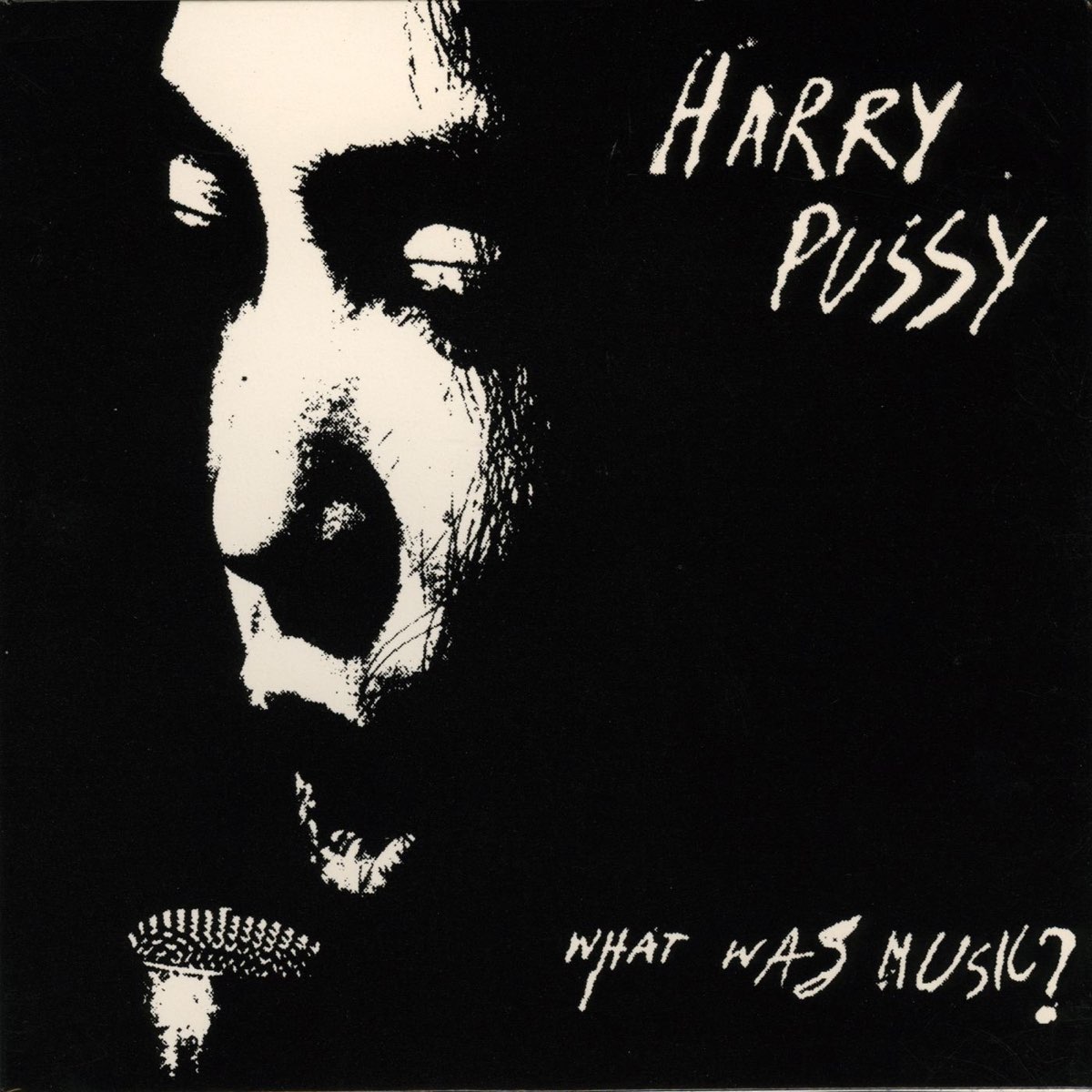 Harry Pussy adlı sanatçının What Was Music? albümü.