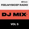 FeelMyBicep Radio, Vol. 5 (DJ Mix) album lyrics, reviews, download